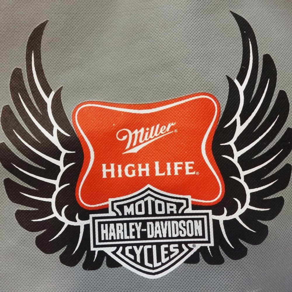 Harley Davidson Light Drawstring Backpack - image 2